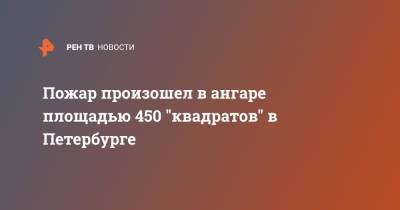 Пожар произошел в ангаре площадью 450 "квадратов" в Петербурге - ren.tv - Россия - Санкт-Петербург - р-н. Приморский