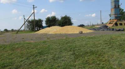 Директор агропредприятия в Хойникском районе похитил почти 3 т зерноотходов - belta.by - Белоруссия - Гомель - район Хойникский