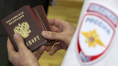 Ильдар Гильмутдинов - МВД заявило об отсутствии планов включить графу «национальность» в паспорт - iz.ru - Россия - Израиль