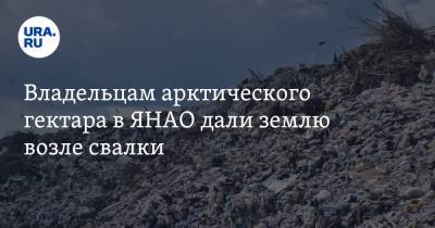 Владельцам арктического гектара в ЯНАО дали землю возле свалки - ura.news - Салехард - окр. Янао