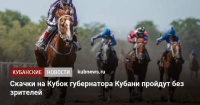 Скачки на Кубок губернатора Кубани пройдут без зрителей - kubnews.ru - Сочи - Краснодарский край
