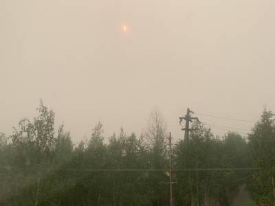 В охваченной пожарами Якутии пропало солнце (видео) - rosbalt.ru - Россия - респ. Саха