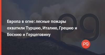 Реджеп Тайип Эрдоган - Европа в огне: лесные пожары охватили Турцию, Италию, Грецию и Боснию и Герцеговину - thepage.ua - Украина - Италия - Турция - Греция - Босния и Герцеговина