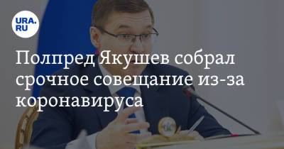 Владимир Якушев - Полпред Якушев собрал срочное совещание из-за коронавируса - ura.news - Урфо