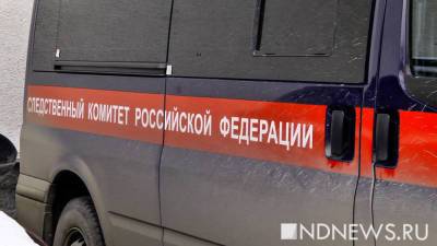 На Алтае мужчина два дня держал в подвале двенадцатилетнюю девочку - newdaynews.ru - респ. Алтай - Бийск