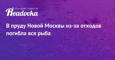 В пруду Новой Москвы из-за отходов погибла вся рыба - readovka.ru - Москва