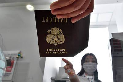 Ильдар Гильмутдинов - В МВД прокомментировали идею вернуть графу «национальность» в паспорта - lenta.ru - Россия