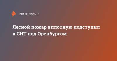 Лесной пожар вплотную подступил к СНТ под Оренбургом - ren.tv - Оренбург - Оренбургская обл.