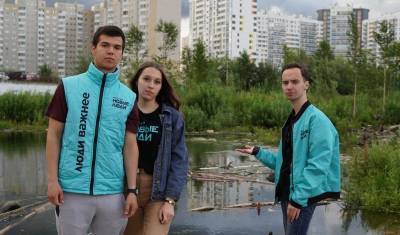 Партия «Новые люди» просит обратить внимание властей на болото в Сургуте - nashgorod.ru - Сургут