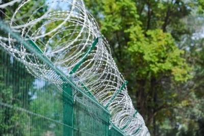 В Волгограде заключили под стражу подозреваемого в изнасиловании девочки - volg.mk.ru - Волгоград - Волгоградская обл.
