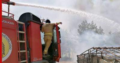 Бекир Пакдемирли - В Турции рассказали о количестве потушенных пожаров - profile.ru - Турция - Курдистан - провинция Анталья