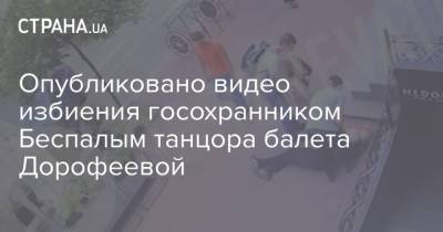 Надежда Дорофеева - Опубликовано видео избиения госохранником Беспалым танцора балета Дорофеевой - strana.ua - Украина - Киев - Нападение