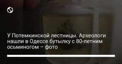 У Потемкинской лестницы. Археологи нашли в Одессе бутылку с 80-летним осьминогом – фото - liga.net - Украина - Одесса