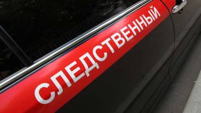 В СК рассказали о состоянии удерживаемой два дня в подвале девочки из Бийска - iz.ru - Израиль - Алтайский край - Бийск