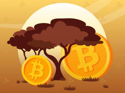 Guardian: неподконтрольность биткоина напугала власти Нигерии - forklog.com - США - Нигерия