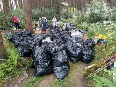 326 мешков мусора. Эко-активисты расчищали свалку в лесу под Смоленском - rabochy-put.ru - Смоленск - Смоленская обл.