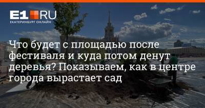 Максим Бутусов - Что будет с площадью после фестиваля и куда потом денут деревья? Показываем, как в центре города вырастает сад - e1.ru - Екатеринбург