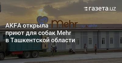 AKFA открыла приют для собак Mehr в Ташкентской области - gazeta.uz - Узбекистан