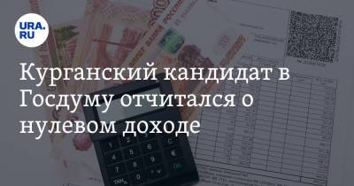 Курганский кандидат в Госдуму отчитался о нулевом доходе - ura.news - Россия - Челябинск - Курганская обл.