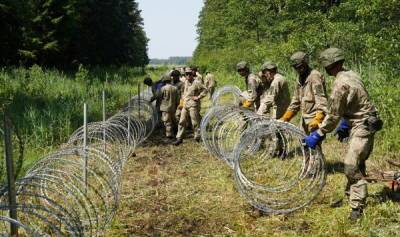 Мода на заборы от мигрантов дошла и до Латвии - lv.baltnews.com - Белоруссия - Латвия