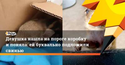 Девушка нашла на пороге коробку и поняла: ей буквально подложили свинью - ridus.ru - Шри Ланка