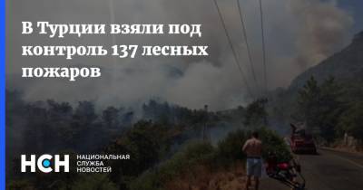 В Турции взяли под контроль 137 лесных пожаров - nsn.fm - Турция - провинция Анталья