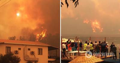 Лесные пожары в Турции: огонь приблизился к ТЕС, эвакуировали тысячи человек - фото - obozrevatel.com - Турция - Манавгат - Reuters