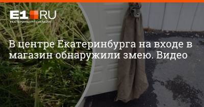 В центре Екатеринбурга на входе в магазин обнаружили змею. Видео - e1.ru - Екатеринбург