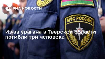 Игорь Руденя - В Тверской области три человека погибли и восемь пострадали из-за урагана - ria.ru - Россия - Рязань - Тверская обл. - Андреаполь
