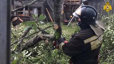 Порядка 70 домов пострадали от урагана под Тверью - iz.ru - Израиль - Тверь - Тверская обл. - Андреаполь