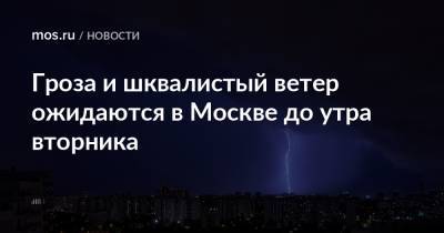 Гроза и шквалистый ветер ожидаются в Москве до утра вторника - mos.ru - Москва