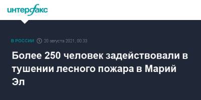Более 250 человек задействовали в тушении лесного пожара в Марий Эл - interfax.ru - Москва - Россия - респ. Марий Эл - Йошкар-Ола - район Медведевский - Марий Эл