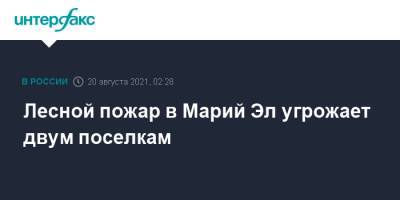Лесной пожар в Марий Эл угрожает двум поселкам - interfax.ru - Москва - Россия - респ. Марий Эл - Йошкар-Ола - район Медведевский - Марий Эл
