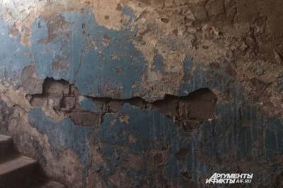 Комсомольчанка добровольно живет в разрушенном доме - hab.aif.ru