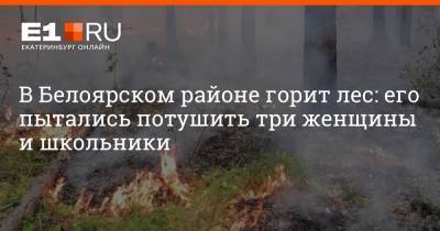 В Белоярском районе горит лес: его пытались потушить три женщины и школьники - e1.ru - Екатеринбург
