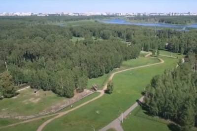 Мужчины в парке Лосиный остров изнасиловали женщину и сняли всё на камеру - mk.ru