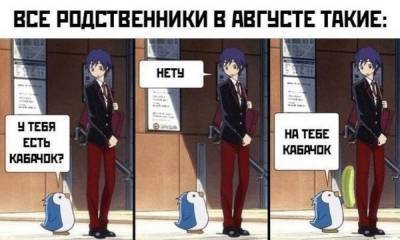 Необычные рецепты из кабачков — мы знаем, что у вас их навалом: там есть даже пицца и брауни! - gubdaily.ru