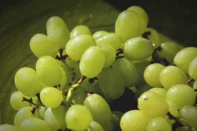 Производители винограда в России могут поднять цены на 30 процентов в 2021 году - vm.ru - Россия