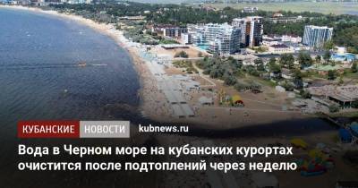 Александр Колесник - Вода в Черном море на кубанских курортах очистится после подтоплений через неделю - kubnews.ru - Краснодарский край - Черное Море