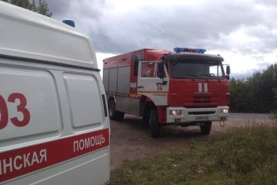 В Новгородской области две «потеряшки» выбрели из леса на звук сирены - mk.ru - Новгородская обл.