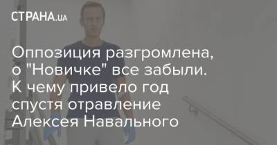 Алексей Навальный - Навальный - Оппозиция разгромлена, о "Новичке" все забыли. К чему привело год спустя отравление Алексея Навального - strana.ua - Москва - Россия - Украина