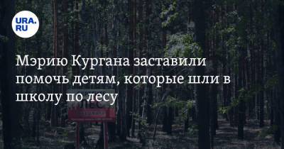 Мэрию Кургана заставили помочь детям, которые шли в школу по лесу - ura.news - Курган