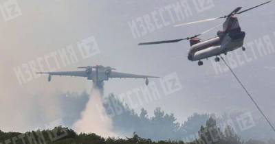 В честь экипажа разбившегося в Турции Бе-200 назовут леса - ren.tv - Россия - Турция - Бодрум