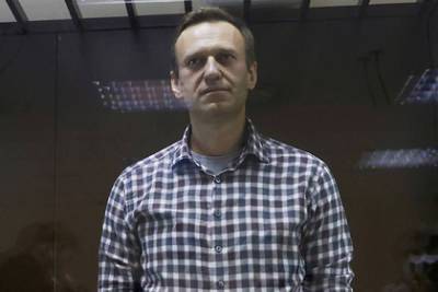 Алексей Навальный - Василий Пискарев - В Госдуме прокомментировали инцидент с Навальным в августе 2020 года - lenta.ru - Россия - Омск
