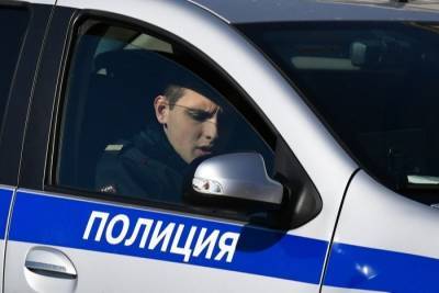 Владимир Васенин - МВД задержало свыше 30 участников массового конфликта на юге Москвы - interfax-russia.ru - Москва - Россия