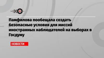 Элла Памфилова - Памфилова пообещала создать безопасные условия для миссий иностранных наблюдателей на выборах в Госдуму - echo.msk.ru - Москва - Россия