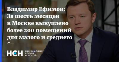 Владимир Ефимов - Владимир Ефимов: За шесть месяцев в Москве выкуплено более 200 помещений для малого и среднего бизнеса - nsn.fm - Москва