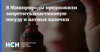 Виктория Абрамченко - В Минприроды предложили запретить пластиковую посуду и ватные палочки - nsn.fm - Россия - Экология