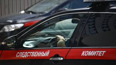 Ольга Большакова - СК обвинил пару сатанистов из Подмосковья в ритуальных убийствах - russian.rt.com - Ленинградская обл. - Московская обл. - республика Карелия
