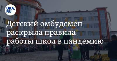 Анна Кузнецова - Сергей Кравцов - Детский омбудсмен раскрыла правила работы школ в пандемию - ura.news - Россия